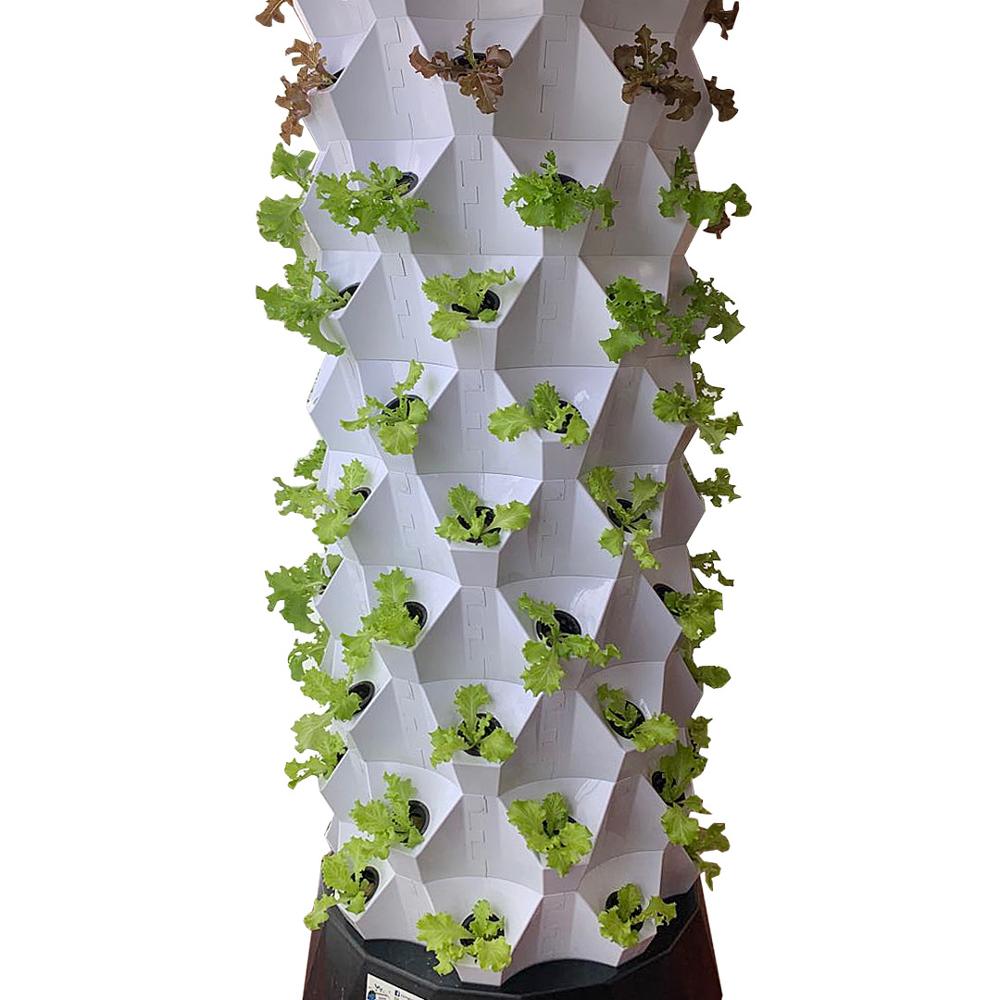 Smart Garden Vertical - Skyplant maison jardin système hydroponique complet