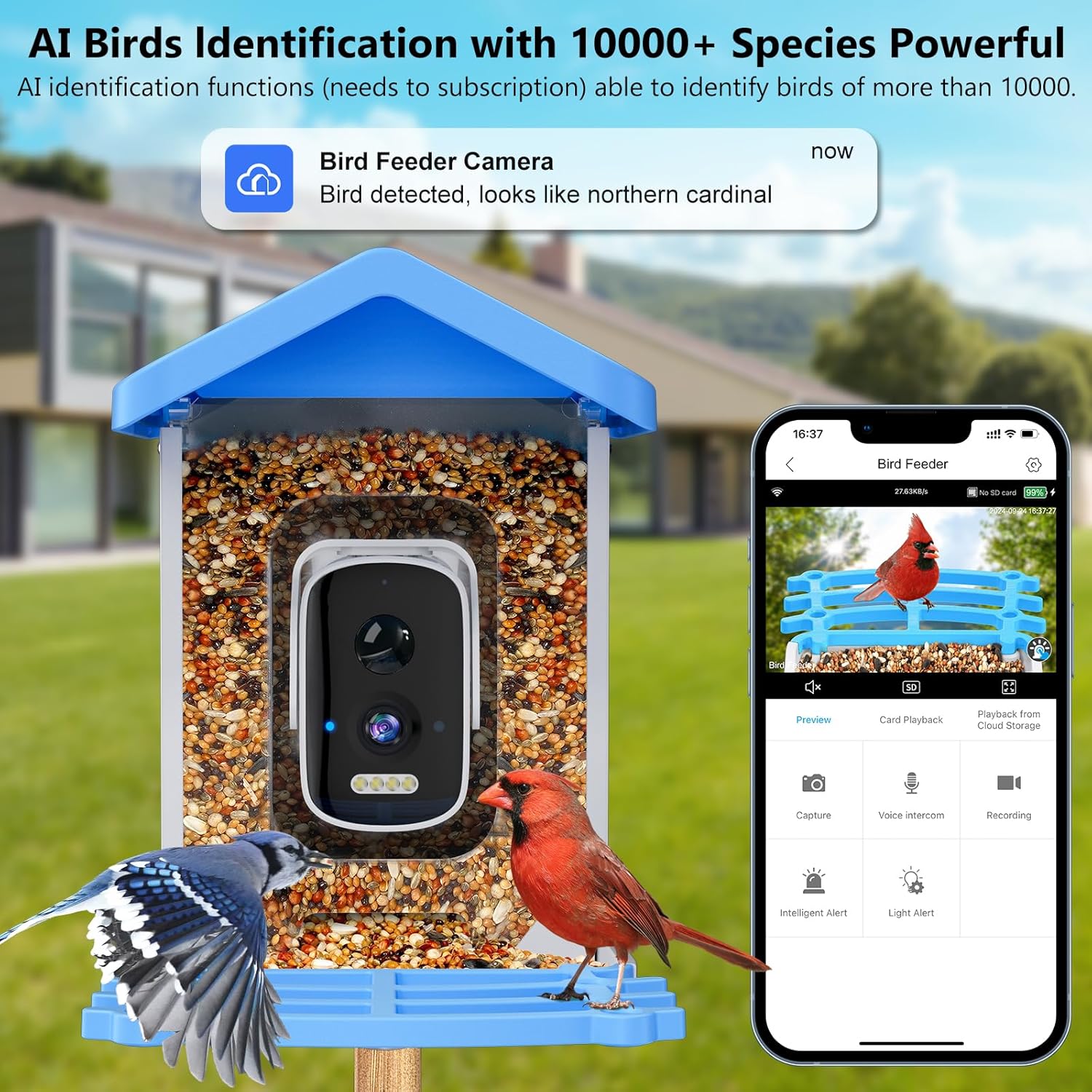 Smart Garden Ai - Mangeoire à oiseaux intelligente avec caméra,