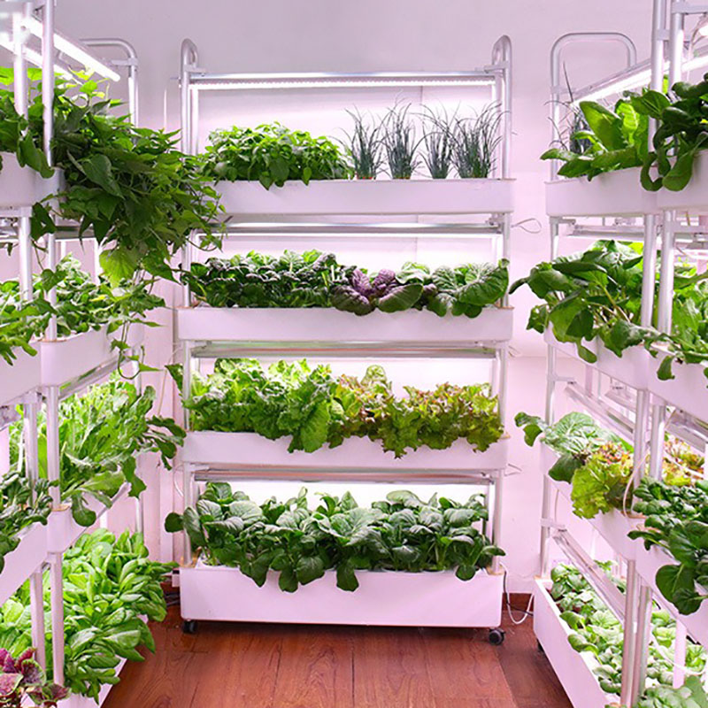 Smart Garden Vertical - Tour de culture hydroponique verticale intelligente