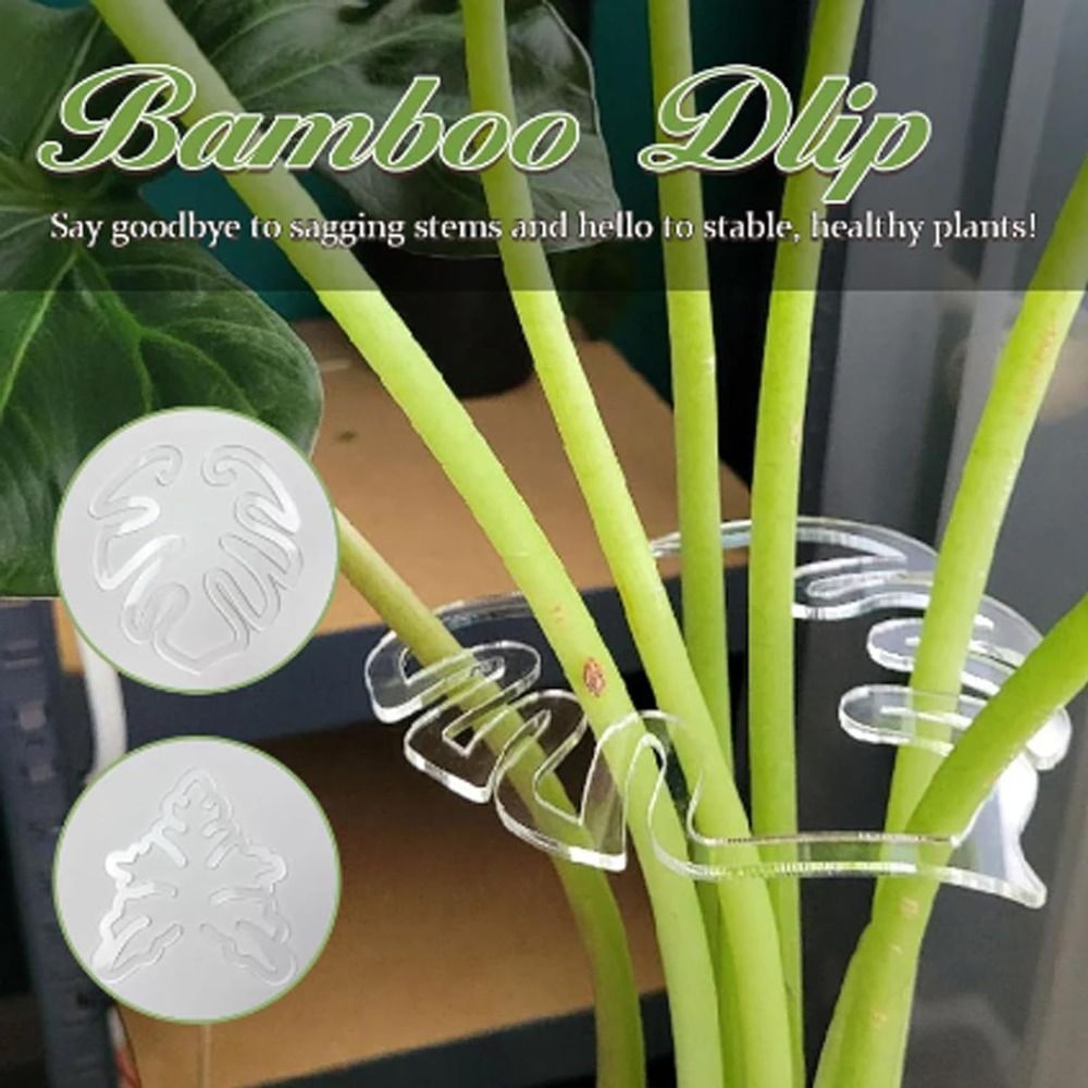 Smart Garden Storage - Pince en bambou réutilisable, coquille de