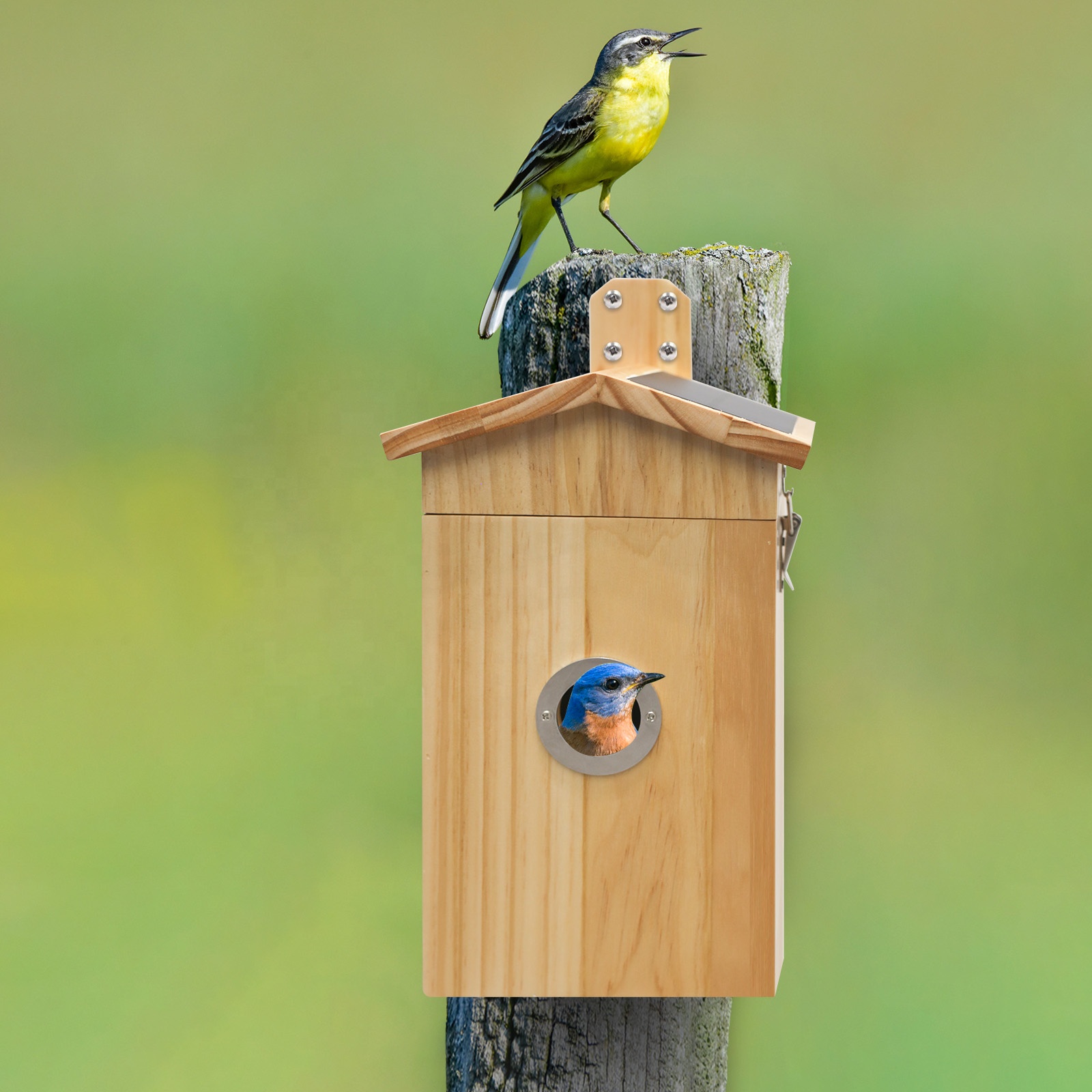 Smart Garden Ai - Nanxin vente chaude caméra oiseaux maison