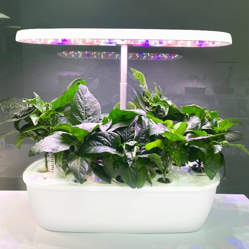 Smart Garden Design - Système de jardin hydroponique électronique intelligent
