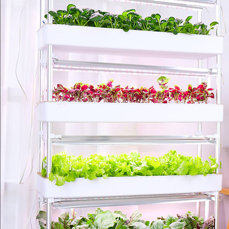Tour de culture hydroponique v - Smart Garden Vertical avis et prix