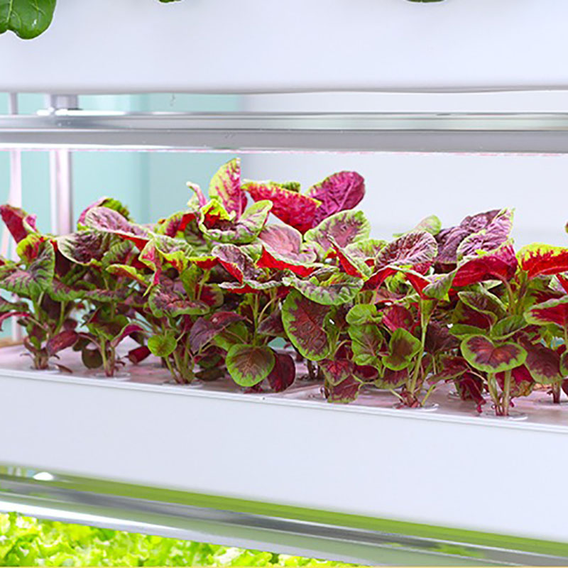 Tour de culture hydroponique v - Smart Garden Vertical avis et prix