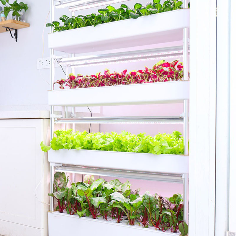 Tour de culture hydroponique v - Smart Garden Vertical avis et prix