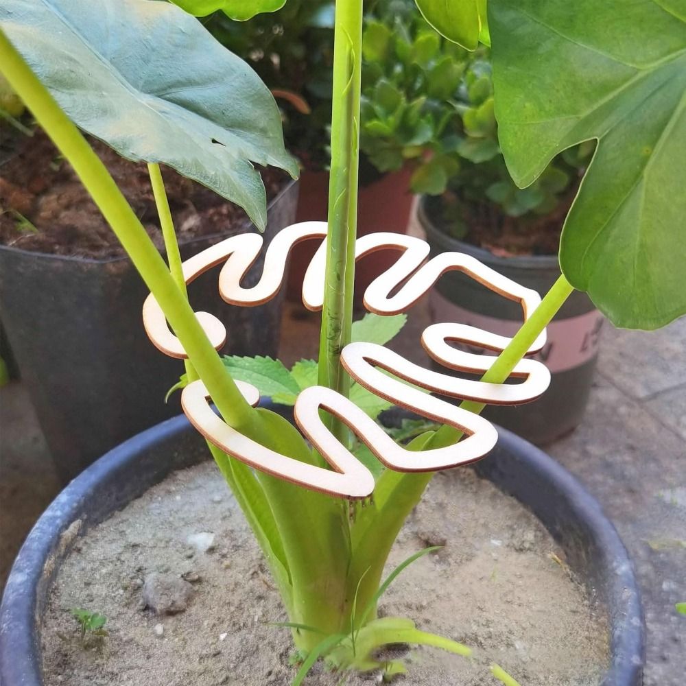 Pince en bambou réutilisable,  - Smart Garden Storage avis et prix