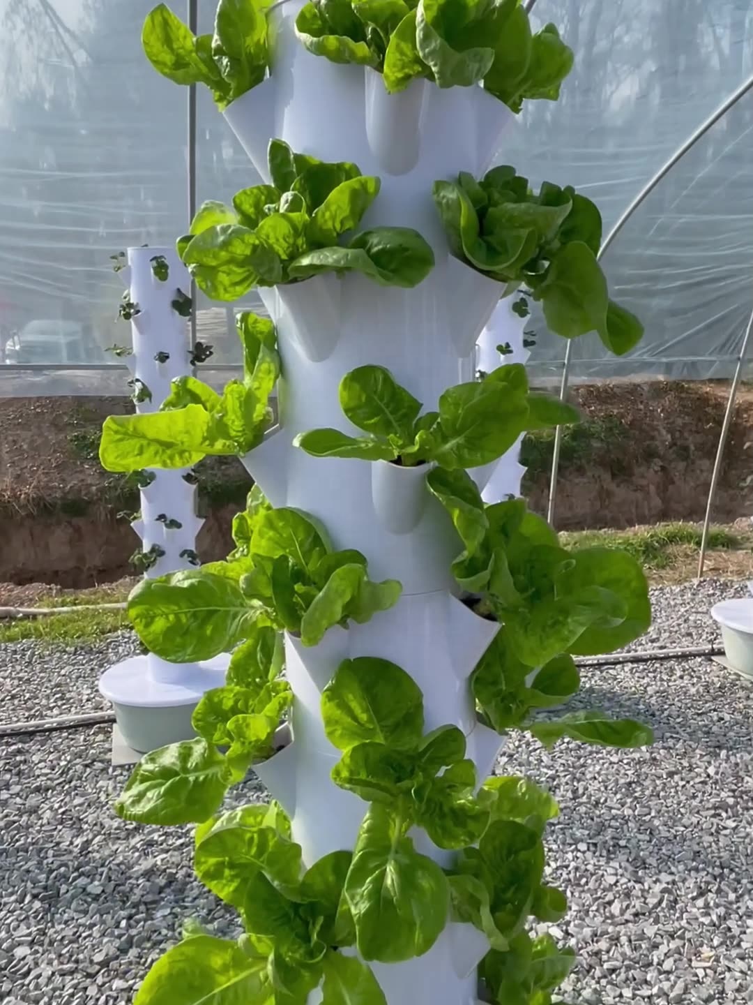 Systèmes de culture hydroponiq - Smart Garden Vertical avis et prix