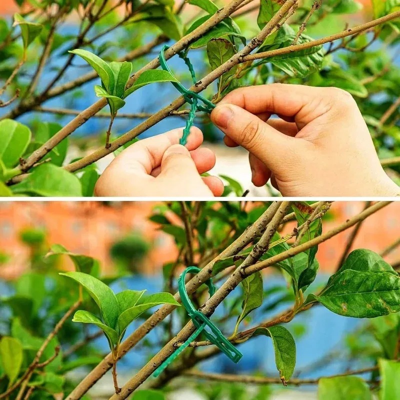 Attaches de jardin réutilisabl - Smart Garden Storage avis et prix